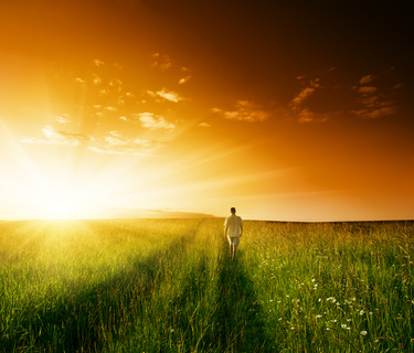 one man and field of summer grass