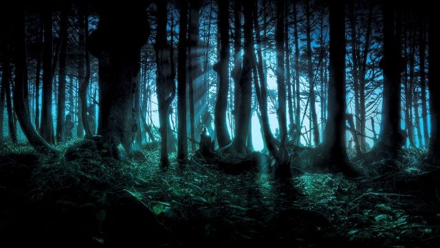 spooky-forest-670726