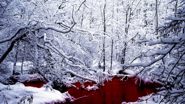 Blood River